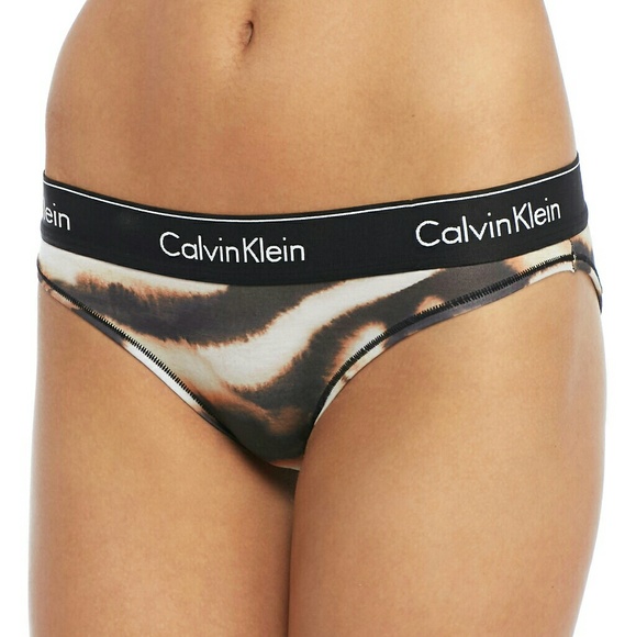Calvin Klein Other - Calvin Klein Modern Cotton Bikini Brief